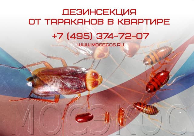 Дезинсекция от тараканов в квартире в Подольске