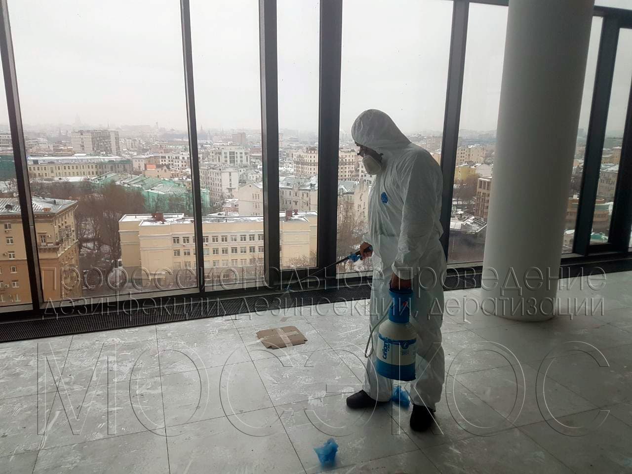 Обработка от тараканов в квартире в Подольске
