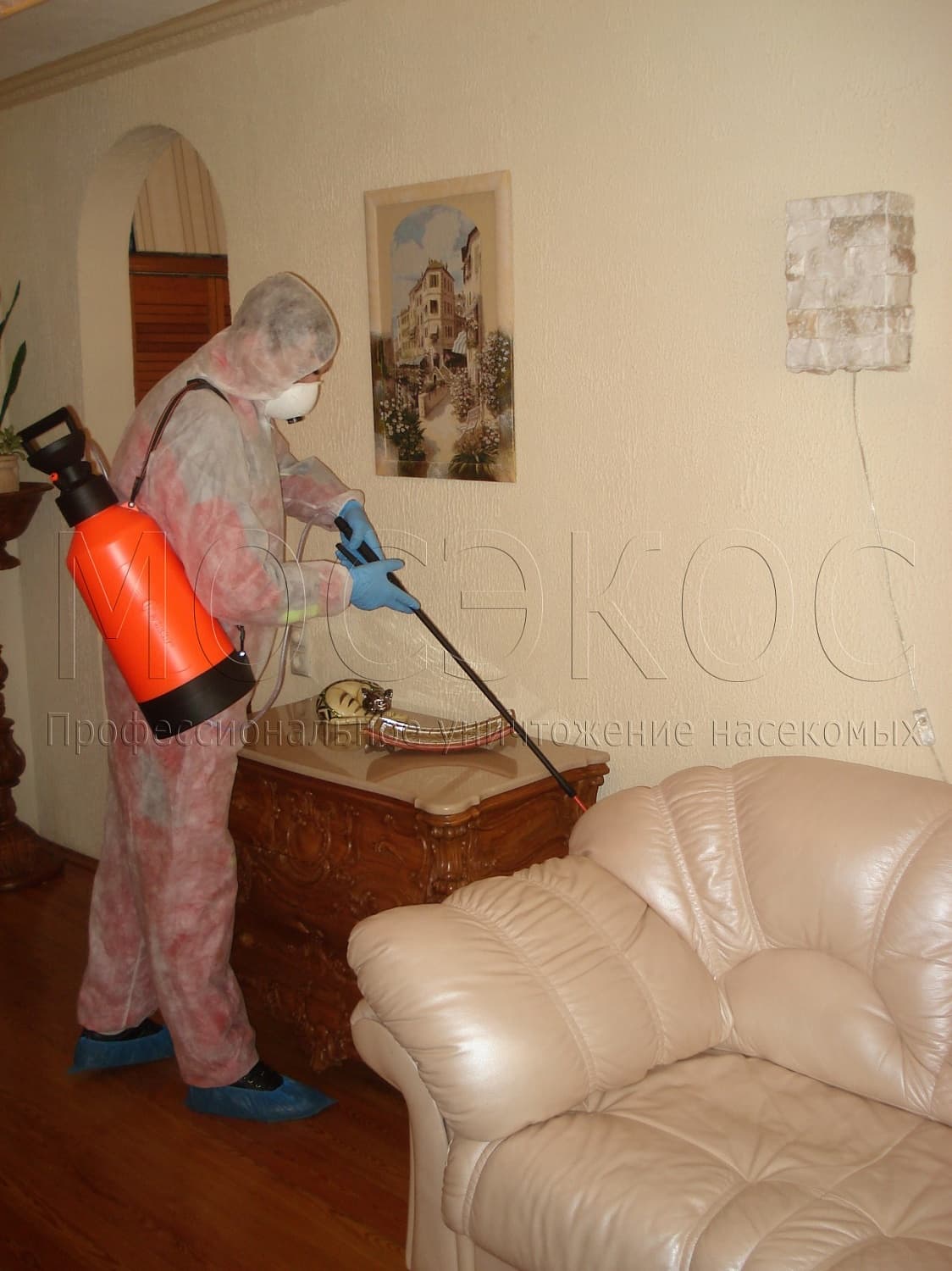 Клопы дома: как избавиться от паразитов в Подольске